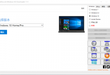 Windows ISO Downloader v8.31 光盘映像下载工具-老康的学习空间