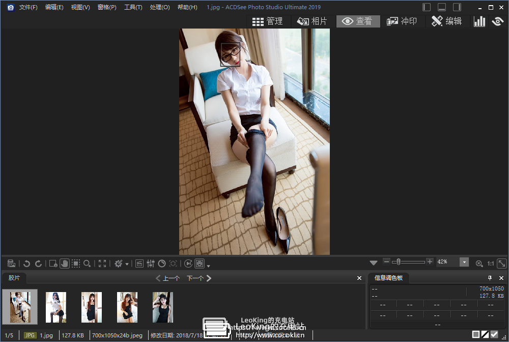 ACDSee Photo Studio 2020 v13.0.1.2023 汉化旗舰特别版