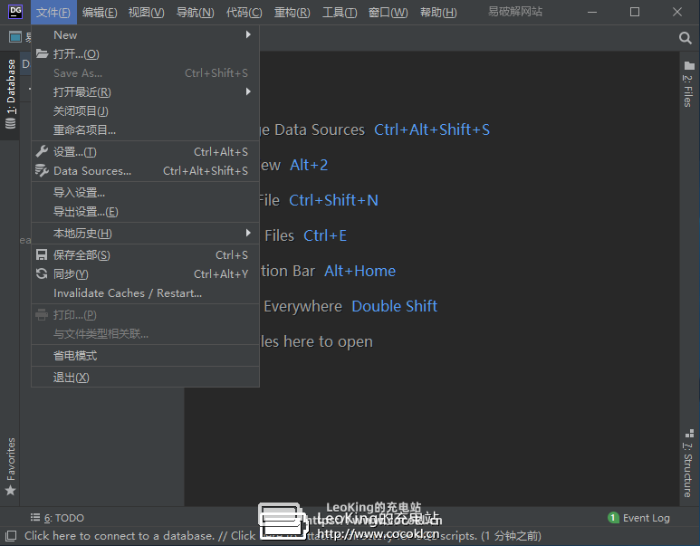 数据库管理 JetBrains DataGrip v2019.3.3 汉化破解版
