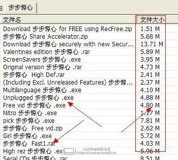 p2psearcher（种子搜索神器） v6.4.8绿色版