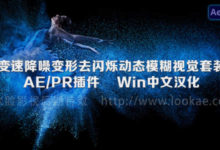 中文汉化-慢动作降噪去闪动态模糊视觉套装AE/PR插件REVisionFX v21.1.1 Win-老康的学习空间