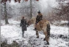 Snowflks(雪花效果滤镜) 中文绿色版-老康的学习空间