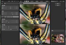 Noiseware Professional（PS降噪滤镜） v5.0.2.0中文版-老康的学习空间