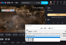 Vdl v1.2.4 + IDM的视频嗅探功能下载优酷爱奇艺腾讯在线视频-老康的学习空间
