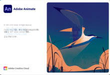 Adobe Animate 2022 v22.0.6.202 动画制作软件免费版-老康的学习空间