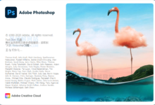 Adobe Photoshop 2021 v22.5.5.691 图像后期处理软件-老康的学习空间