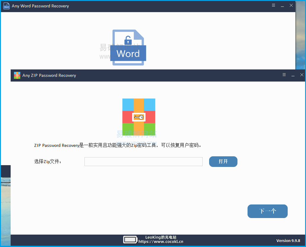 Any Password Recovery
