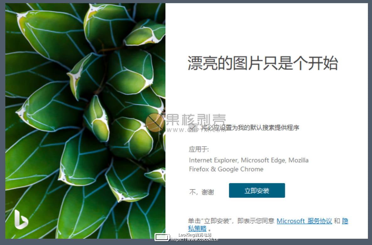 Bing Wallpaper(微软壁纸) v1.0.9.9 中文多语免费版