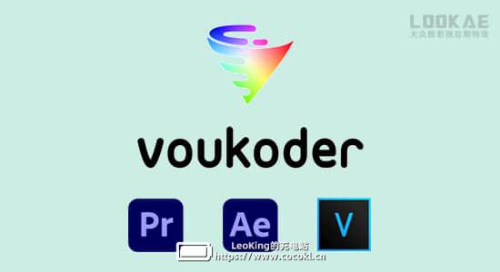 达芬奇/AE/PR/ME/VEGAS多格式视频编码渲染加速输出插件 Voukoder v8.0 Win中文版插图