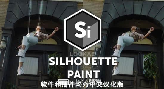 Silhouette Paint 2020.5.7 Win中文汉化 (专业ROTO软件+AE/PR/VEGAS/达芬奇插件)插图