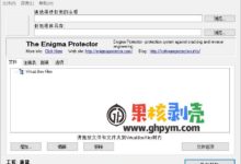 Enigma Virtual Box(单文件封装工具) v9.70-老康的学习空间