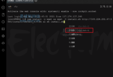 Electerm v1.21.57 x64 开源免费SSH桌面终端管理软件-老康的学习空间