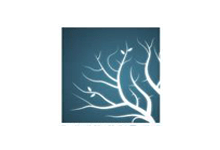 Lumion Pro v11.5.0 x64 三维建筑可视化渲染软件特别版-老康的学习空间