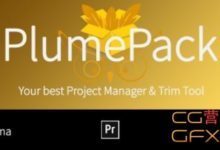 PR工程素材剪切整理打包插件 Aescripts PlumePack V1.4.4 + 使用教程-老康的学习空间
